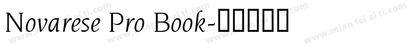 Novarese Pro Book字体转换